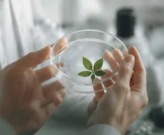 Conscious Wellness 의식적인 선택이 만드는 더 나은 웰빙