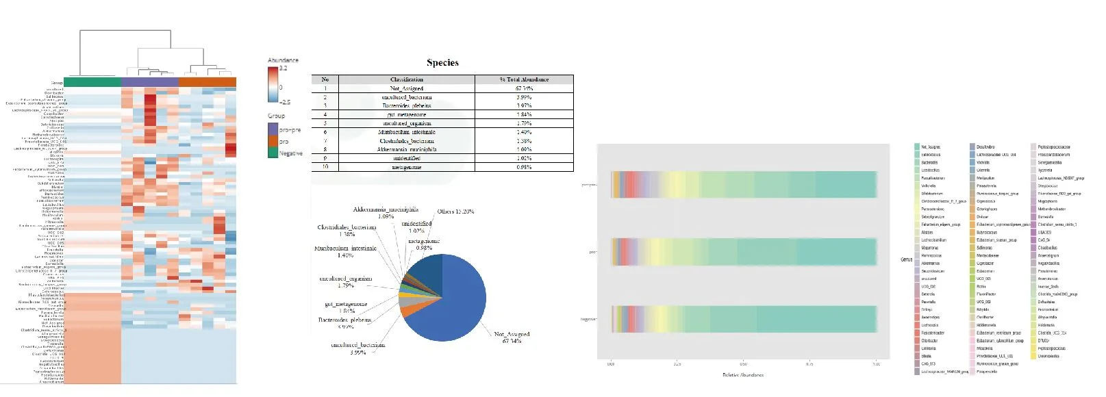 Heatmap und Artenverteilung aus der Mikrobiom-NGS-Analyse