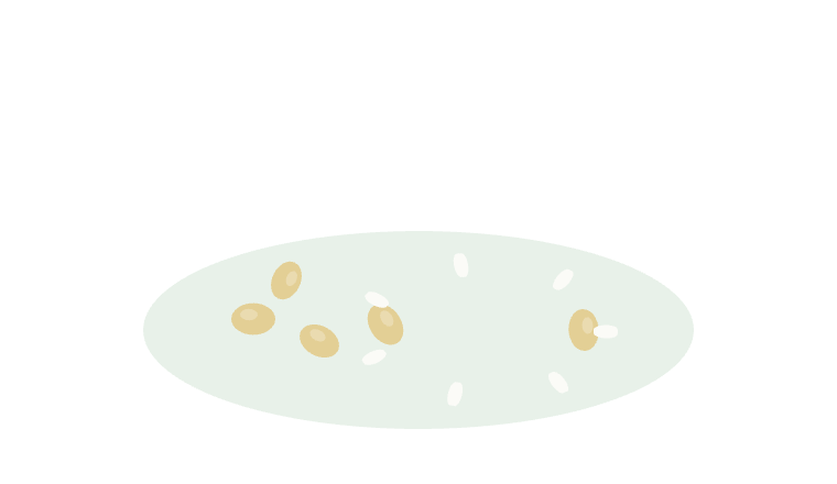 Custom Enzyme Substrates