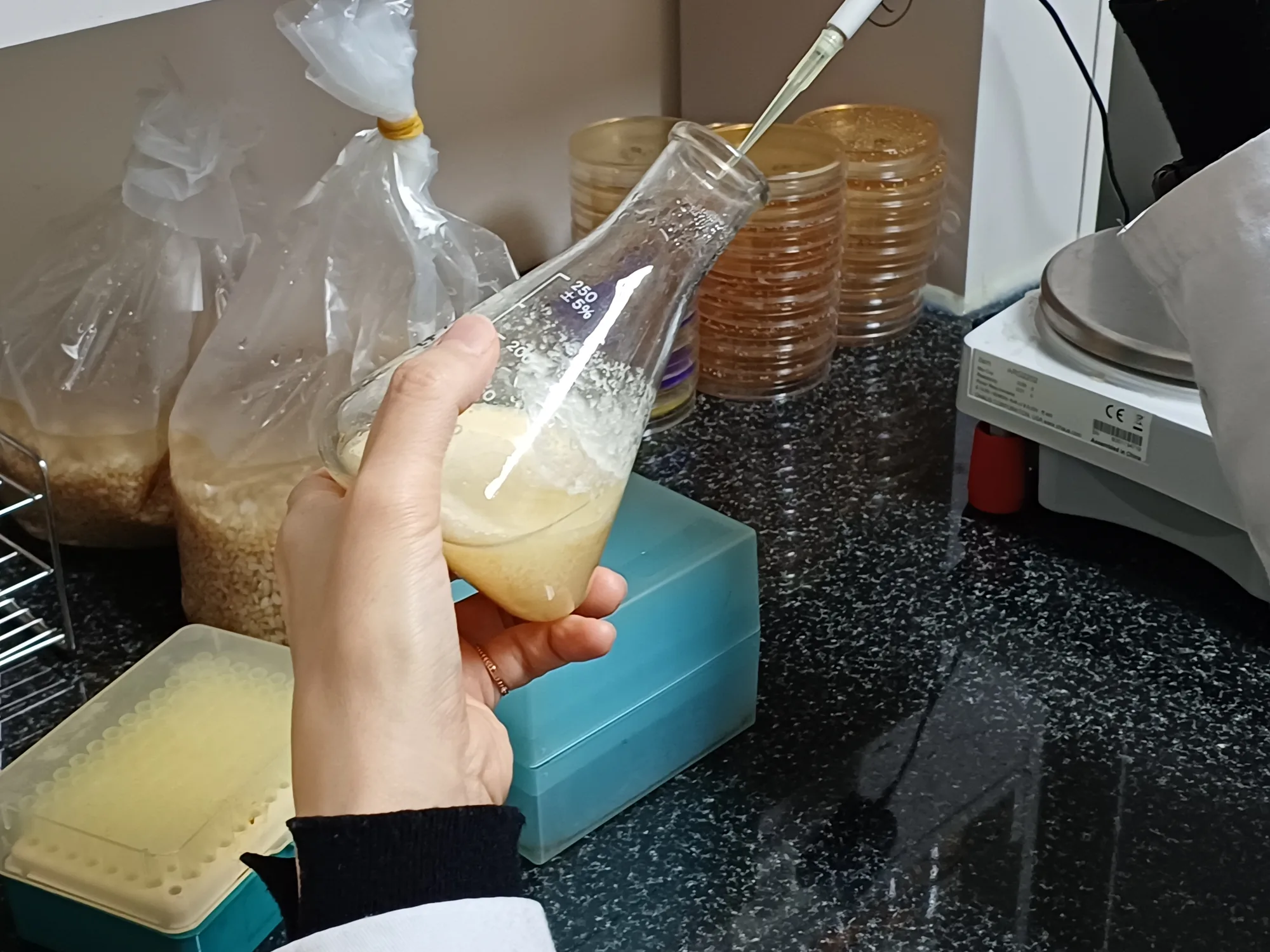 研究员使用实验器具处理发酵样品