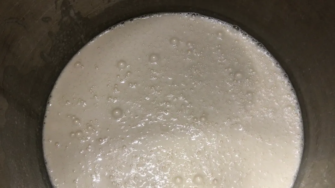 Vegan yogurt fermentation